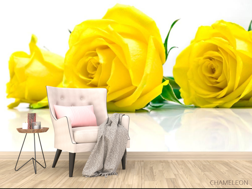Фотообои Розы желтые - 4