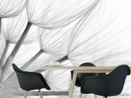 Фотошпалери Кульбаба - 1