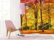 Фотошпалери Осінній ліс - 4