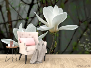 Фотообои Белоснежные цветки - 4