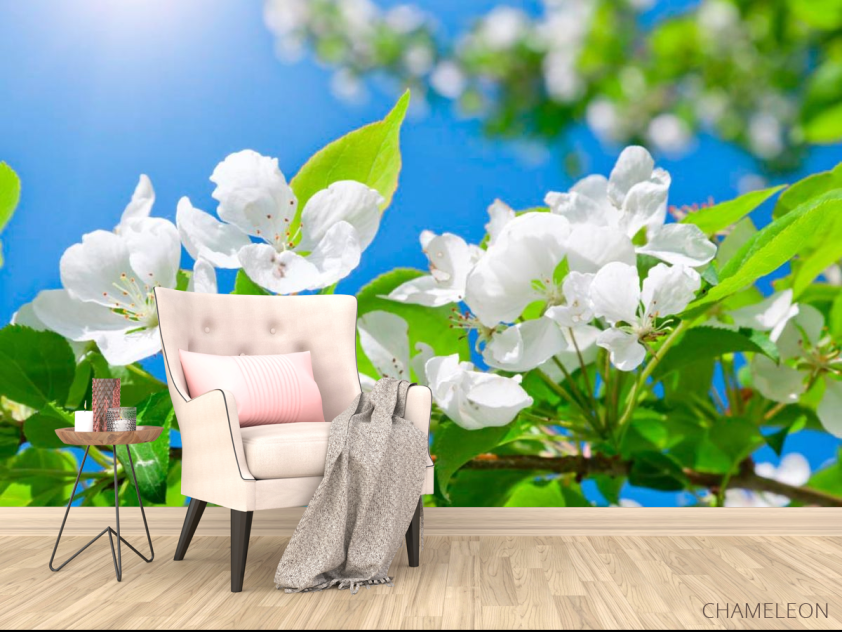 Фотообои Цветы белые маленькие - 4