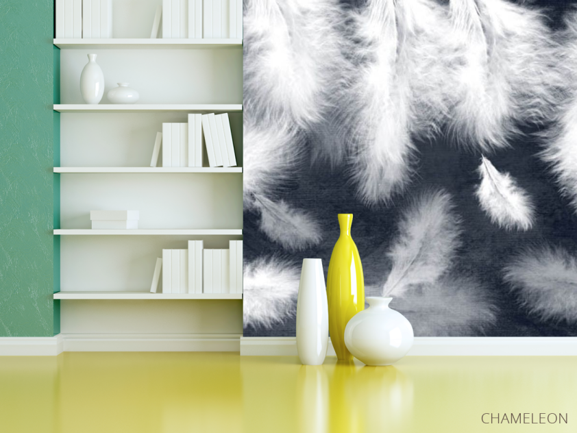 Фотошпалери біле пір'я на синьому тлі - 3