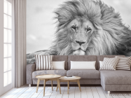 Фотообои лев - 3