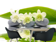 Фотообои Белые нарциссы - 1