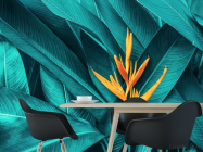 Фотошпалери яскрава Стреліція - 1