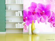 Фотошпалери Орхідеї - 3