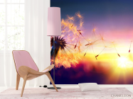 Фотошпалери кульбаба захід сонця - 4