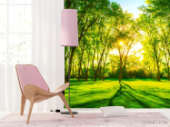 Фотошпалери Зелені дерева - 4