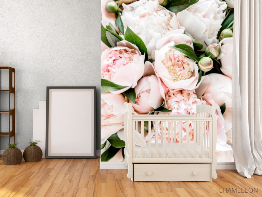 Фотообои Пудровые пионы - 2
