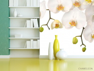 Фотошпалери Білі орхідеї і бутони - 3