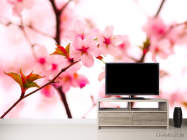 Фотообои Цветы вишни весной - 2