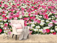 Фотообои Поле разноцветных тюльпанов - 4