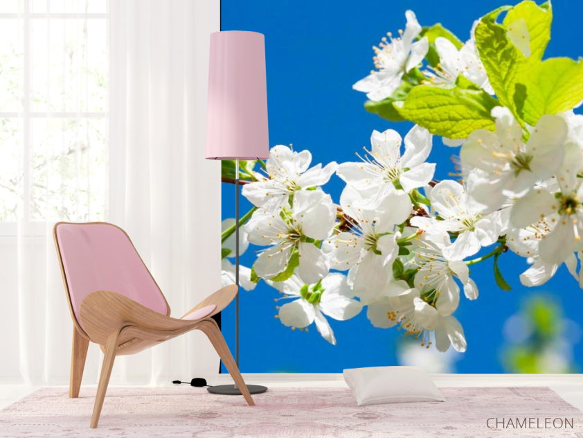 Фотошпалери Квіти на фоні неба - 4