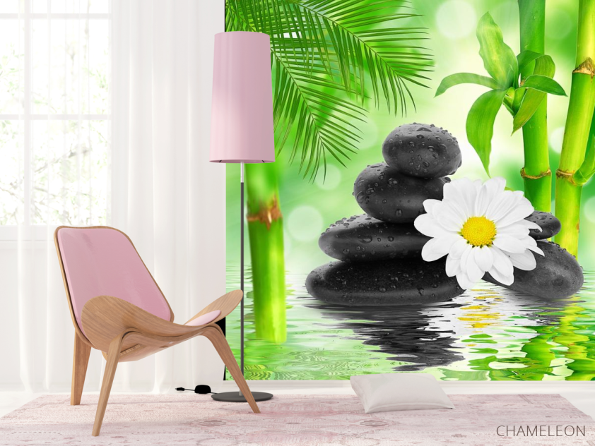 Фотообои ромашка на камнях - 4