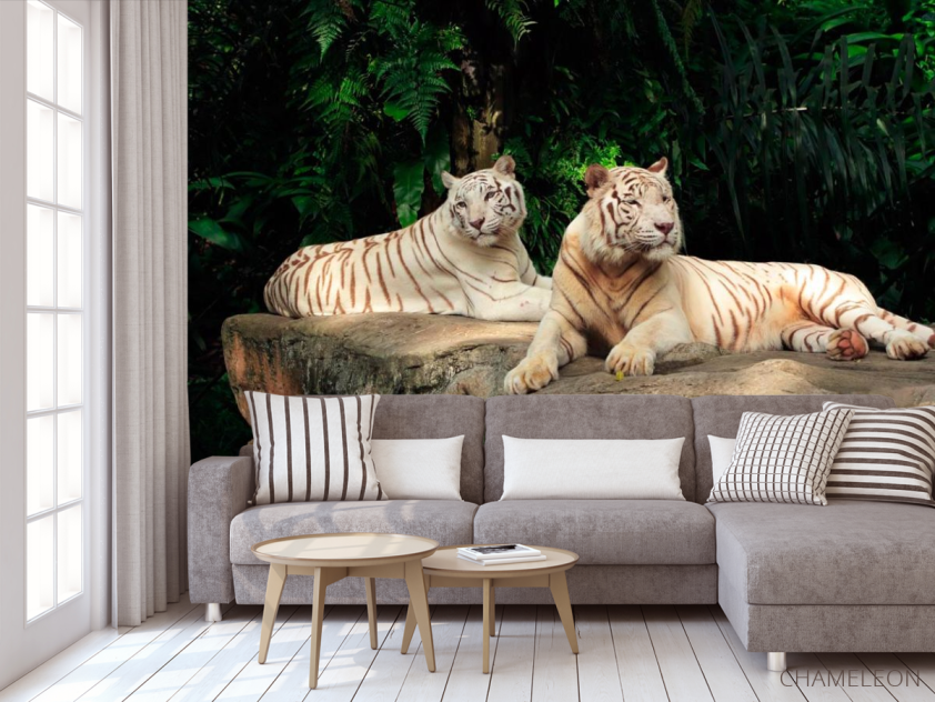 Фотообои Семейство белых тигров - 3