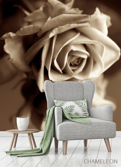 Фотообои Роза сепия - 3