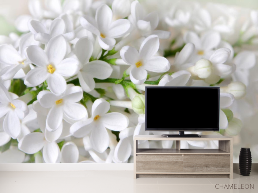 Фотообои белая сирень - 2