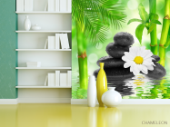 Фотообои ромашка на камнях - 3