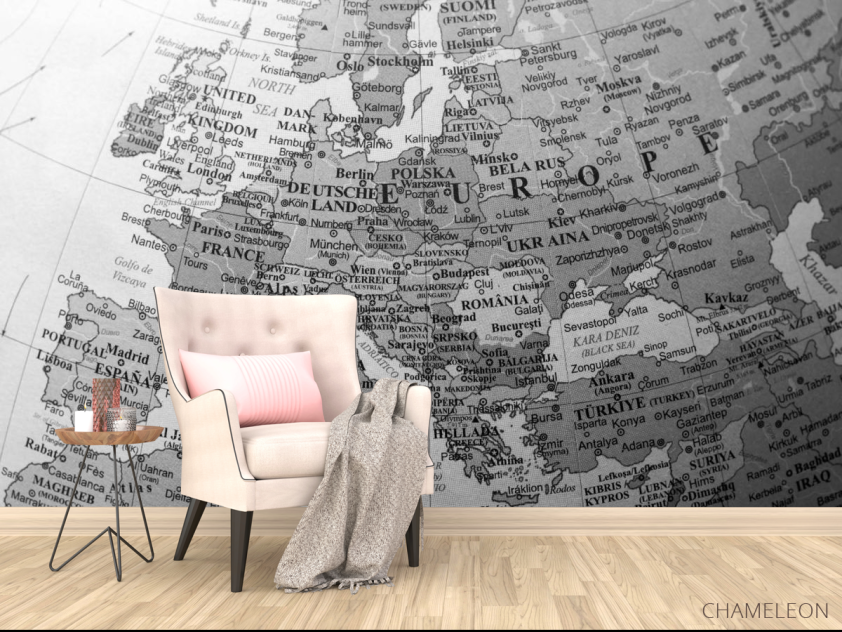 Фотообои Подробная карта - 4