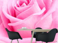 Фотошпалери Макро-зйомка троянди - 1