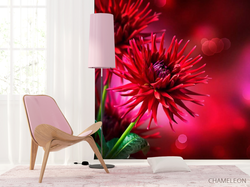 Фотообои Астры алые - 4