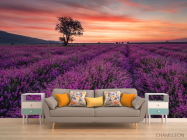 Фотообои сиреневое поле и розовый закат - 1