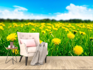 Фотообои Одуванчиковое поле - 4