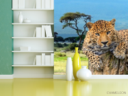 Фотошпалери Гепард перед стрибком - 3