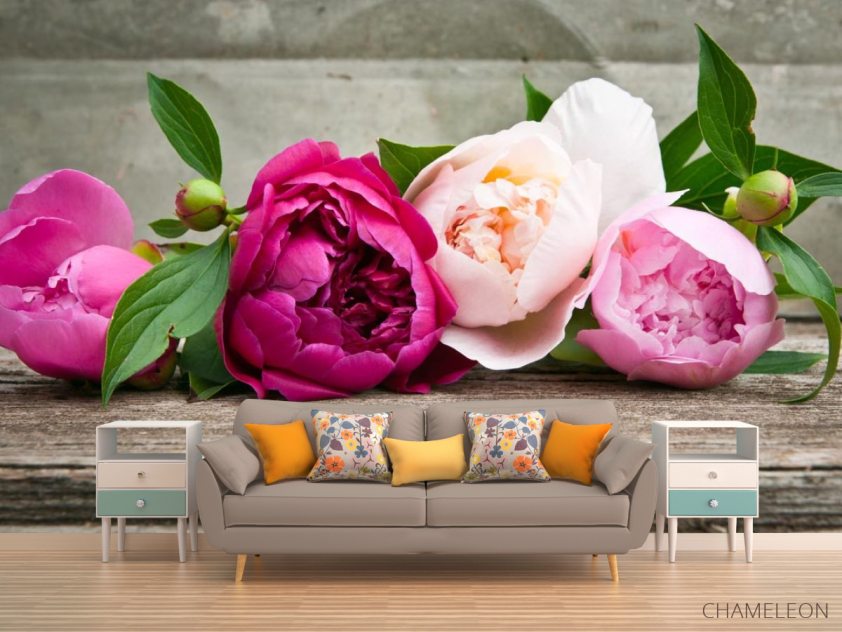Фотообои розовые пионы - 1