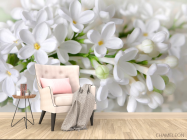 Фотообои белая сирень - 4