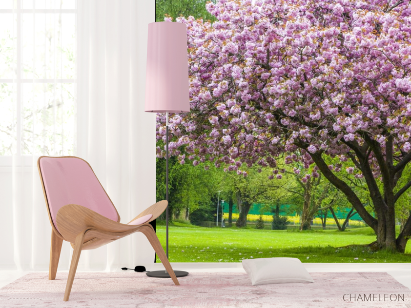 Фотошпалери дерево в кольорі - 4