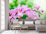 Фотообои Орхидеи сиреневые цветут - 3