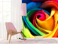 Фотошпалери Біла троянда - 4