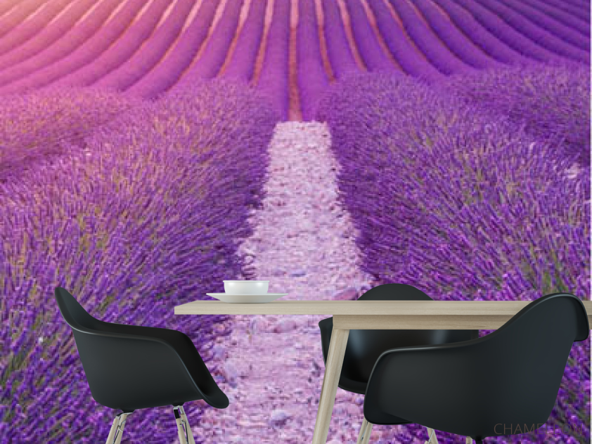 Фотошпалери лавандове поле - 1