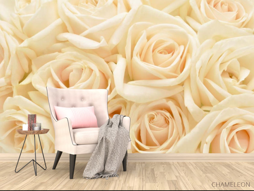Фотообои кремовые розы - 4