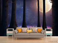 Фотообои луна в лесу - 1