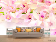 Фотообои Нежно-розовые орхидеи - 1
