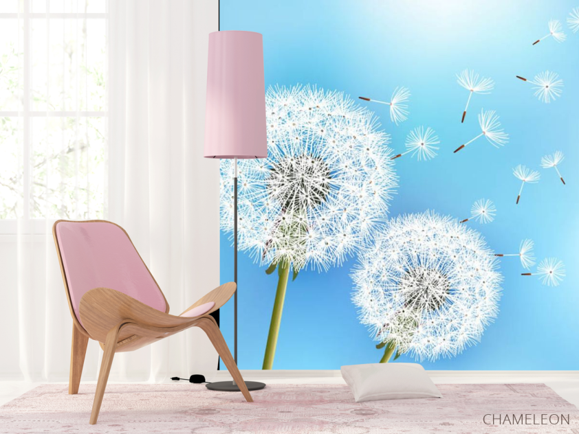 Фотошпалери кульбаби - 4