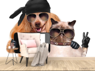 Фотообои кот с собакой делают селфи - 4