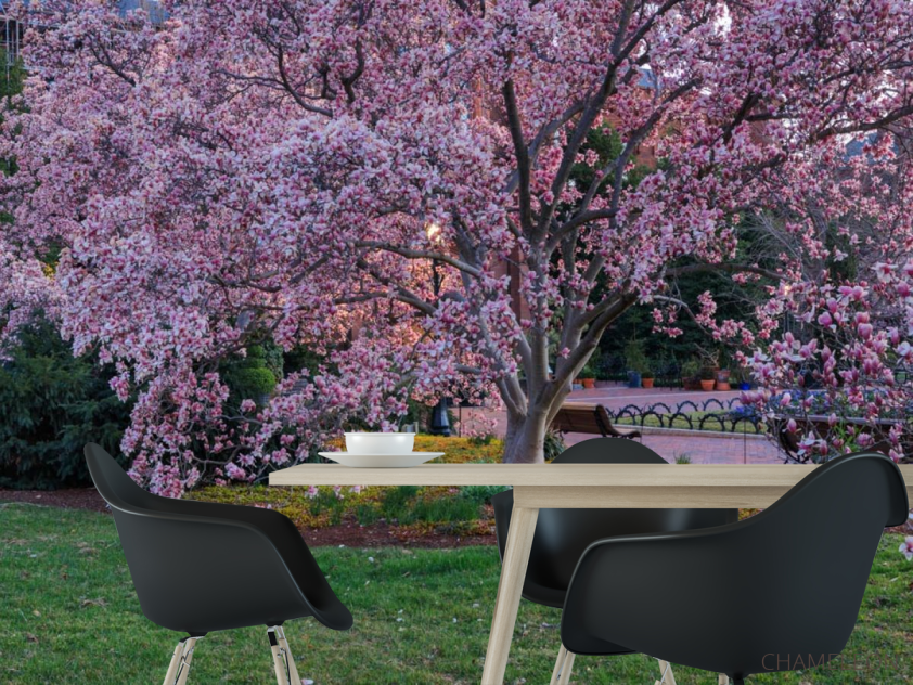 Фотошпалери пухнасте рожеве дерево - 1