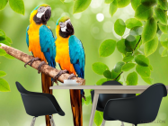 Фотообои Попугаи - 1