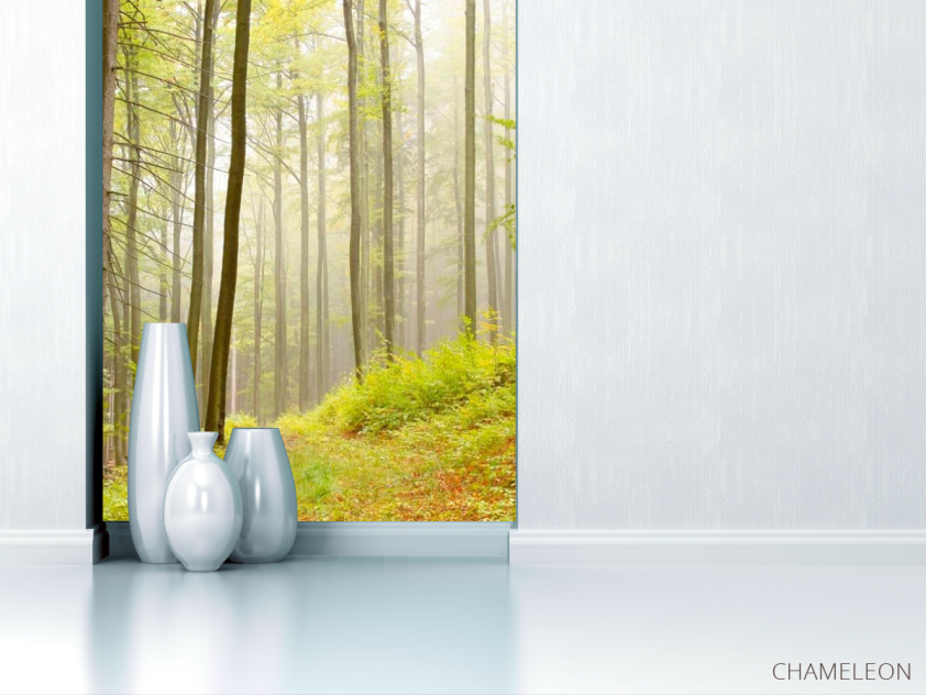 Фотообои Кусочек леса - 1