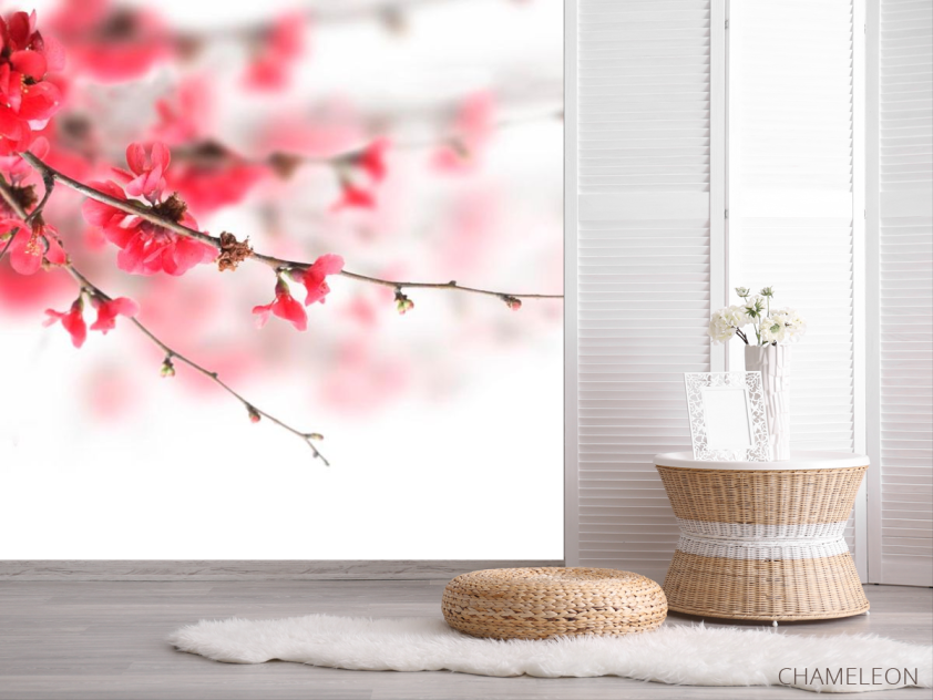Фотошпалери Червоне квітуче дерево - 2