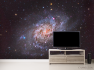 Фотообои Галактика - 2