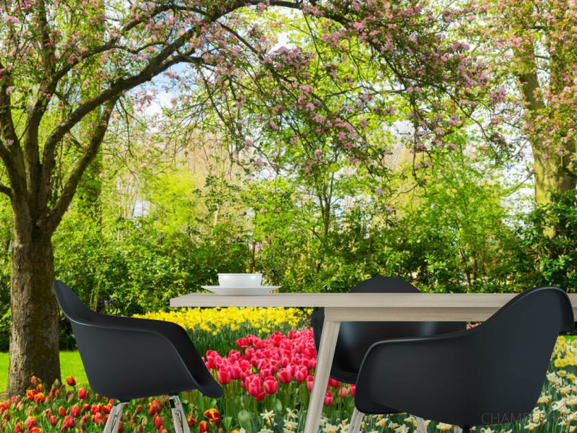 Фотошпалери рожеві тюльпани в квітковому саду - 1