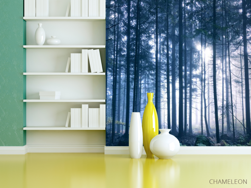 Фотошпалери ліс - 3