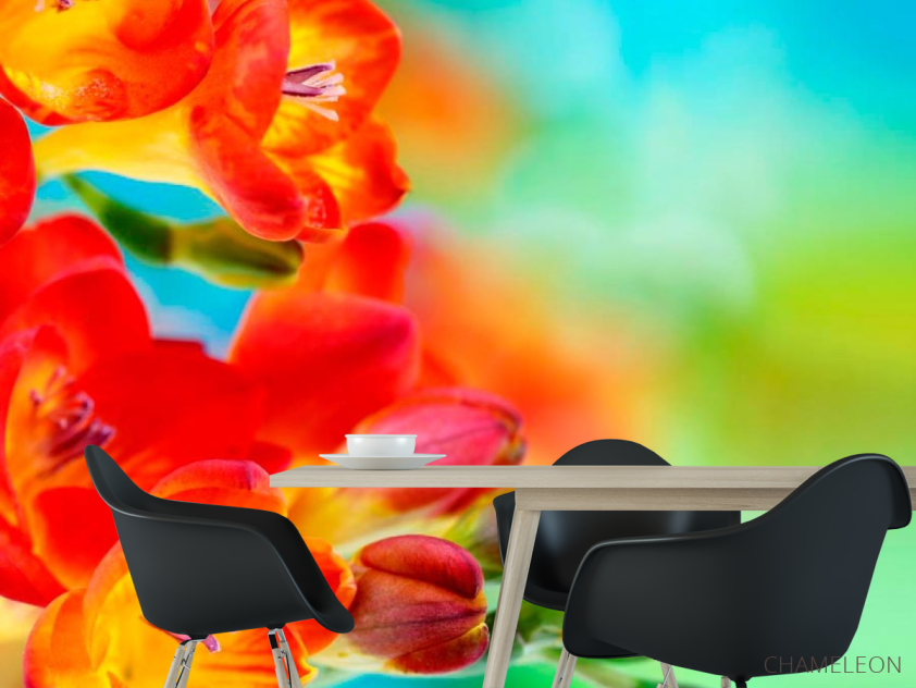 Фотообои Фрезия махровая оранжевая - 1