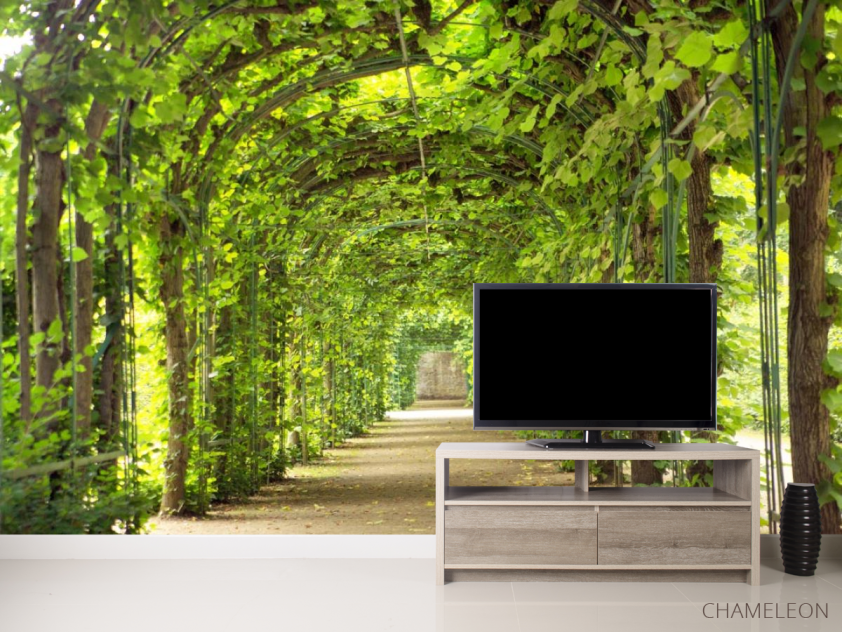 Фотообои зеленая арка - 2