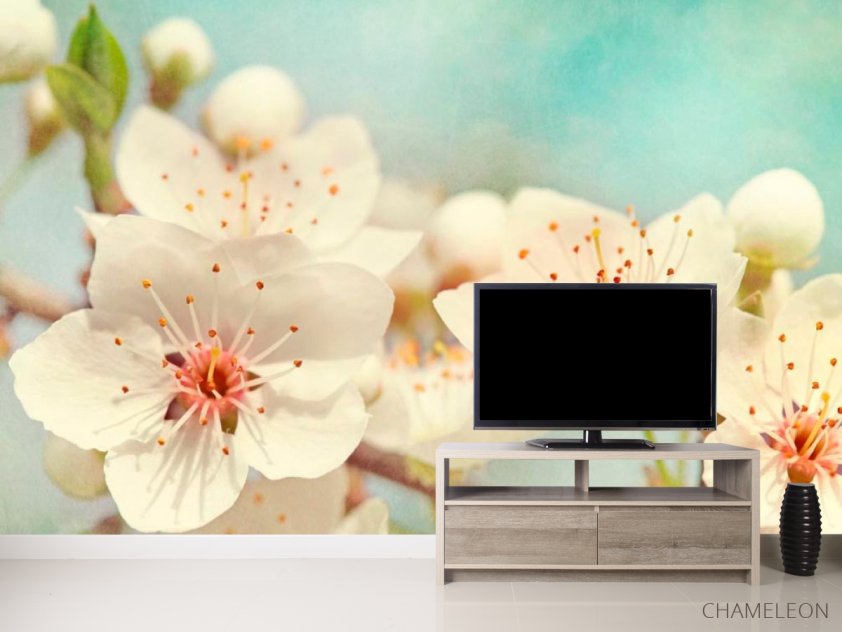 Фотообои Соцветия цветов черешни - 2