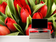 Фотообои красные тюльпаны - 2